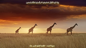 سورة المسد - للقارئ الشيخ فارس عباد