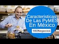 Características De Las PyMES En México