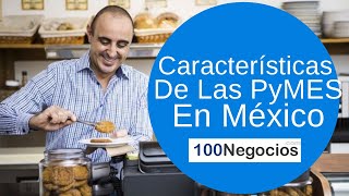 Clasificacion de las pymes en mexico 2019