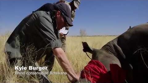 Saving Rhinos - Monitoring (Part 4 of 5)