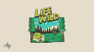 [FREE] Country Pop Type Beat - "Life Wild"