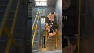 Asmr Mom Girls Only Weekend Photoshoot, Bakery, Movies