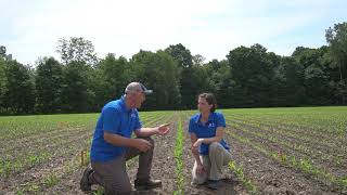 Maizex Moving: Forced Uniformity Trials