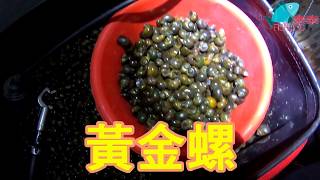 20190910 浮標 (水門一開見真章)