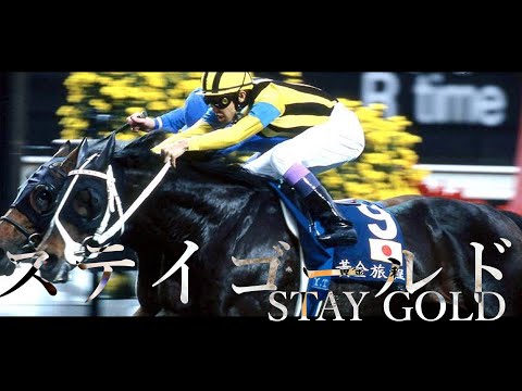 名馬 アクリルパネル ステイゴールド StayGold 競馬 競走馬