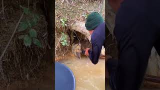 Amazing Easy Gold Discovery