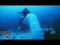 Top 10 Giant Creatures Caught On Camera