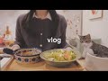 【vlog】１人＋１匹暮らし🐈コストコの購入品で正月太りをリセットする１月の日常🎍４種類のダイエットサラダボウルレシピ🥗 Costco購入品紹介