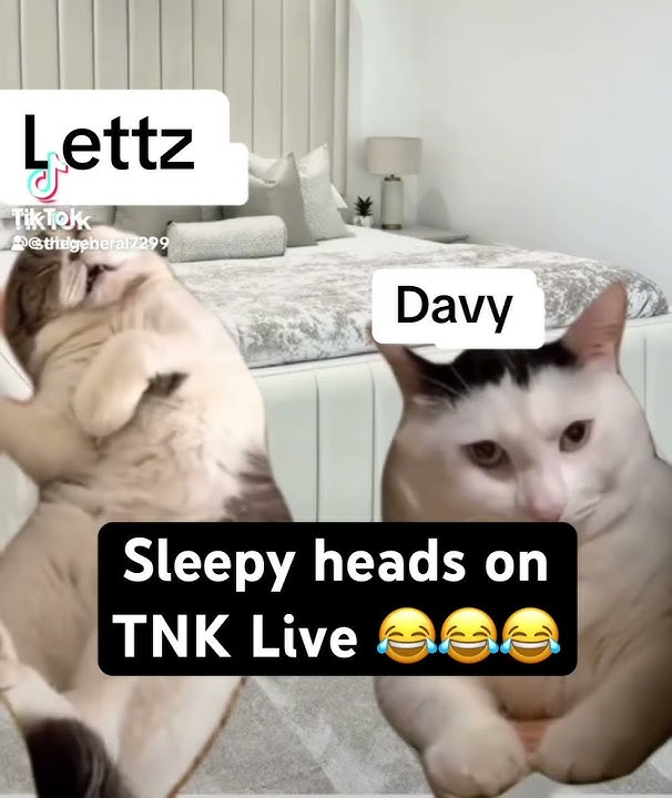 Lettz & Davy #funny #shorts #laugh @TheNorthernKing #memes #comedy #funnyvideo
