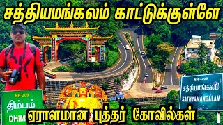 சத்தியமங்கலம் காடுகள்🌿💐 | Thimbam | Sathyamangalam Forest | Odayarpalya |  | Mettur Senthil World