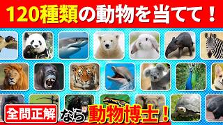 【全120問の動物クイズ】全問正解で動物博士だ！ screenshot 5