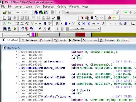 Cracking Software With Ida Pro Cracking Software With Ida Pro