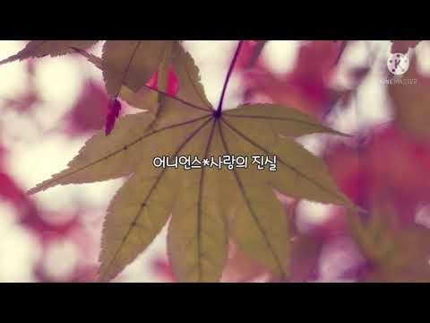 어니언스♧사랑의 진실