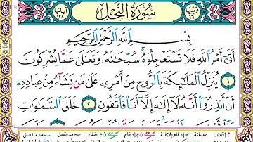 سورة النحل كاملة وديع اليمني برواية حفص عن عاصم