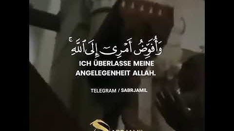 قرآن كريم بصوت مشاري العفاسي || حالات واتس اب دينية