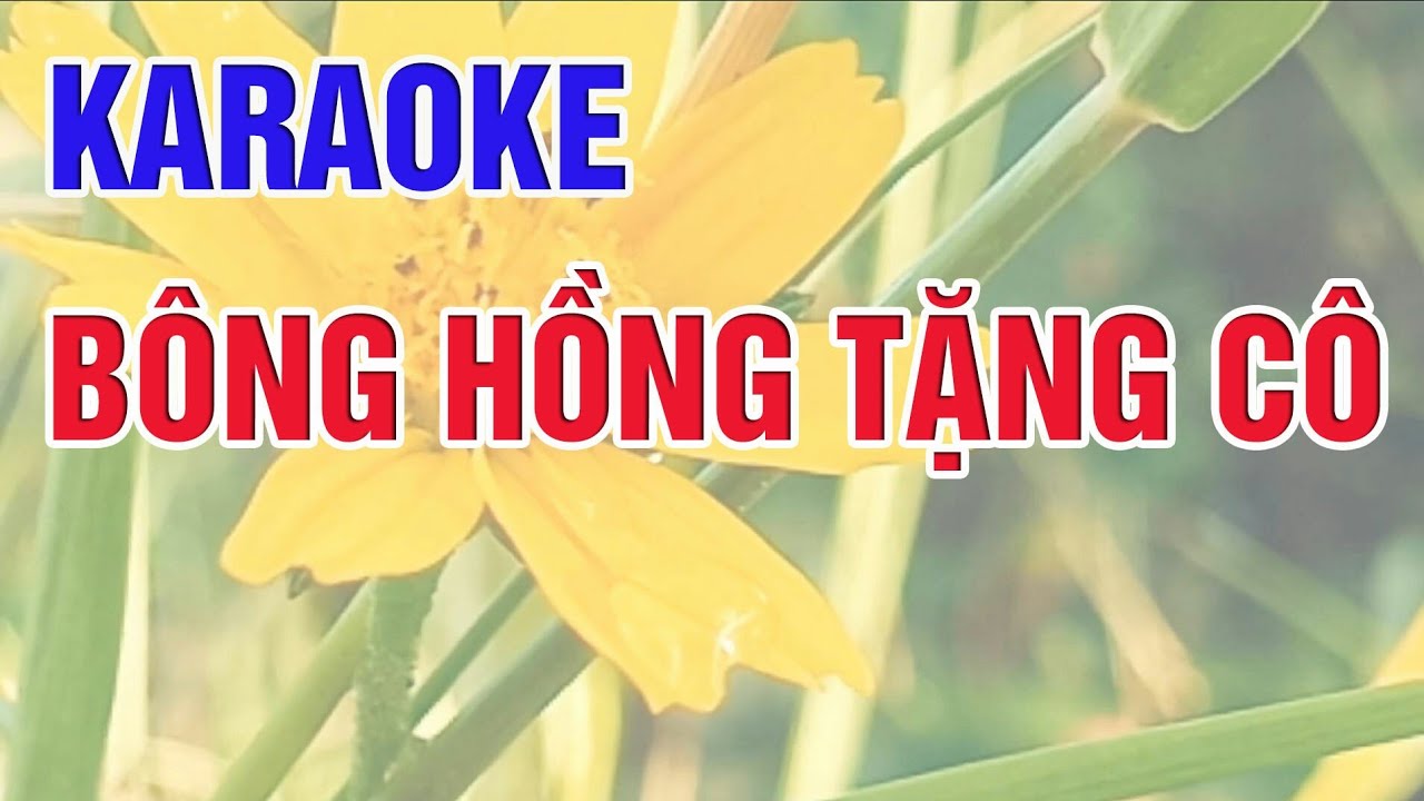 karaoke bông hồng tặng cô - nhạc thiếu nhi dễ thương