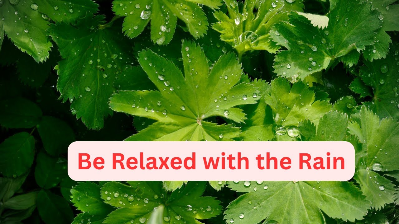 Be Relaxed with Rain