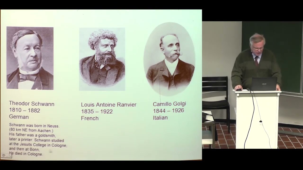 Bioelectromagnetism 02