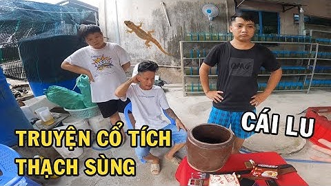 Câu chuyện cổ tích Thạch Sùng phiên bản ông chủ trại cá Betta