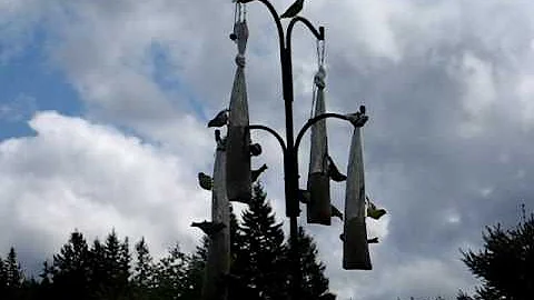 finches