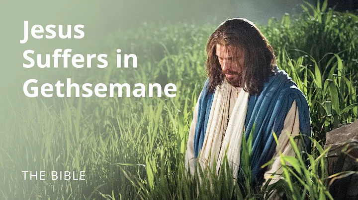 Matthew 26 | The Savior Suffers in Gethsemane | The Bible - DayDayNews