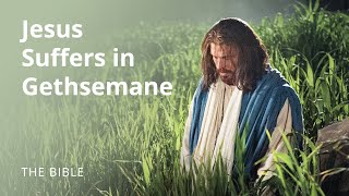 Matthew 26 | The Savior Suffers in Gethsemane | The Bible