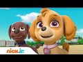 PAW Patrol | Flugrettung vor dem Vulkan! | Nick Jr. Deutschland