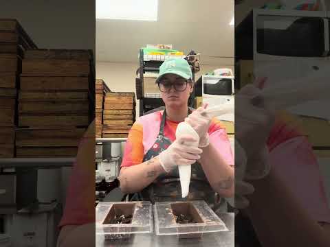 Send Help Candy Candymaker Fyp 