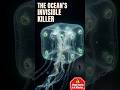 🌊 The Ocean's Most Dangerous Killer Is Invisible — And It's Not A Shark #oceanfacts #shorts