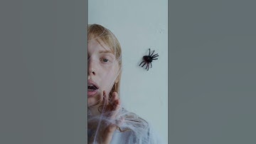 How do spiders spin webs? #spider #youtubeshorts