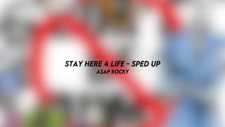Stay Here 4 Life  Aap Rocky sped Up