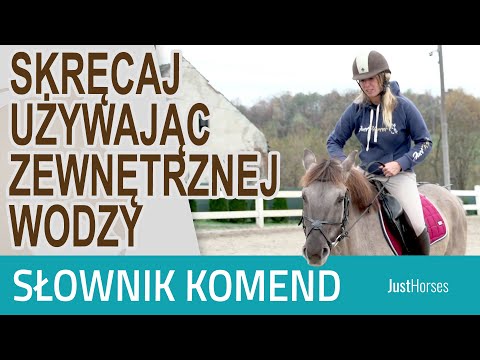 Wideo: Czy Powinienem Używać Wodzy Dla Niemowląt?