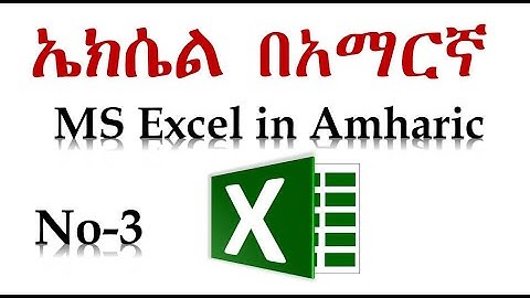 3  Microsoft Excel for Beginners - Basic Tutorial in Amharic Addition Sub Muli division Ethio LiQ