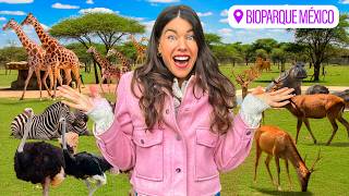 Thumbnail image for México Tiene ESTE Safari y Nadie nos Avisó 😱🦒