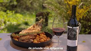 Caii De La Letea Volumul Ii Cabernet Sauvignon & Fetească Neagră