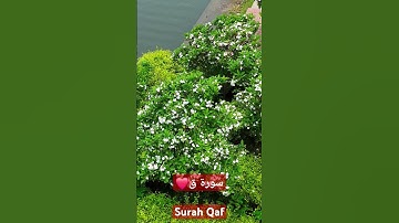 Surah Qaf | সূরা ক্বাফ | سورة ق – Powerful Reminder of Resurrection & Accountability #fatiha #quran