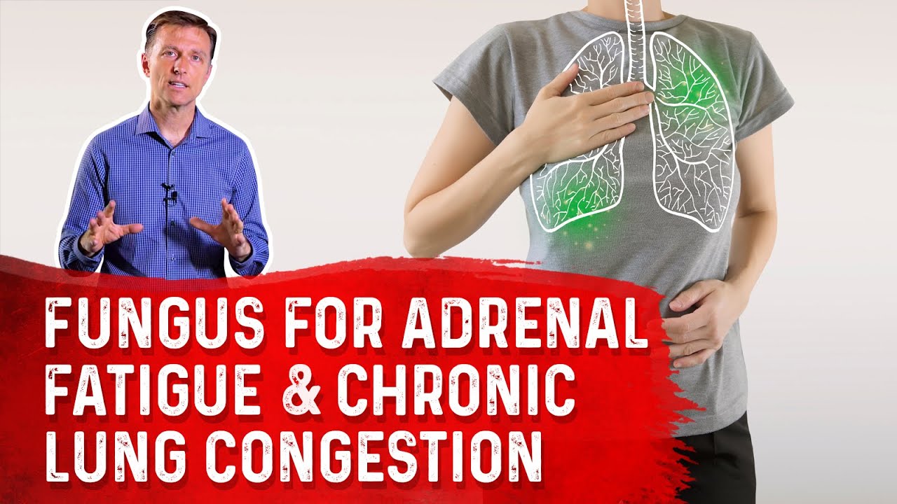 Cordyceps Fungus The Amazing Remedy for Adrenal Fatigue & Chronic Lung
