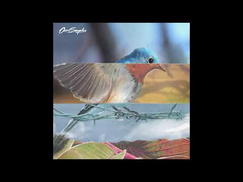 Ver Ours Samplus - Flying Ship en YouTube