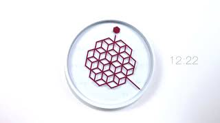 Solcion's Tangle Clock – geometric pattern-shifting clock - on mrphy.sg
