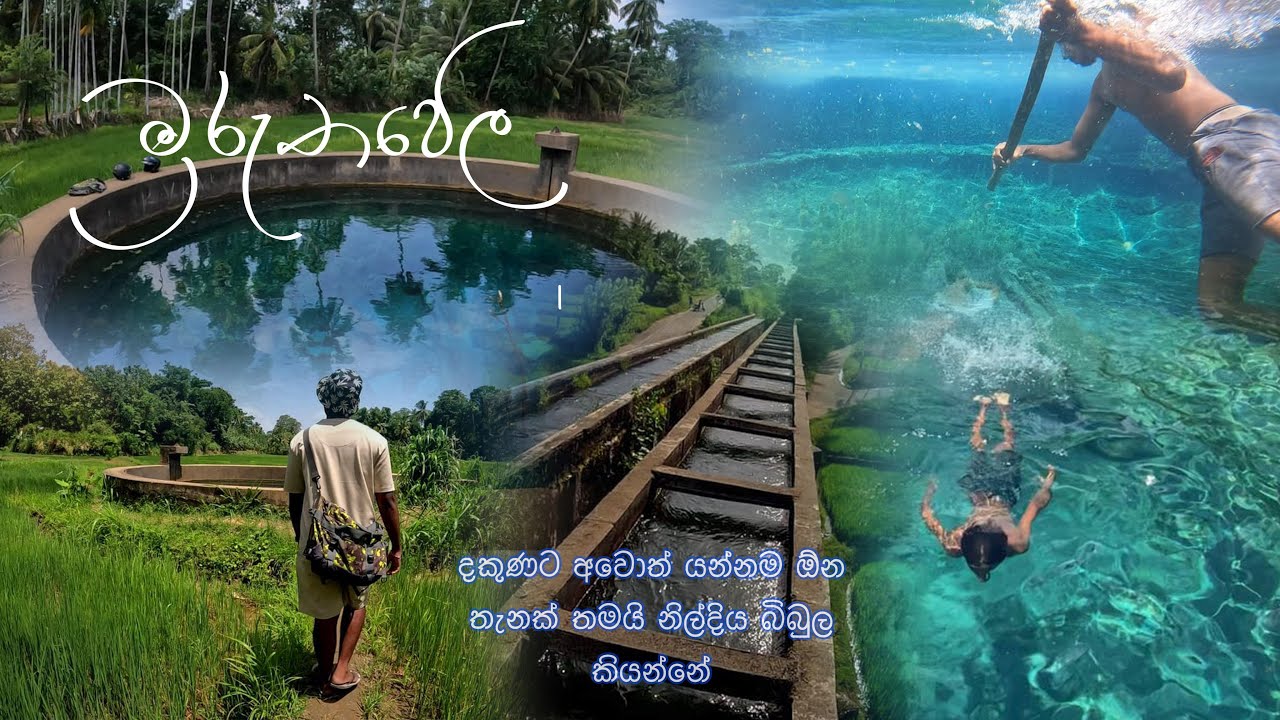 හැමොම හොයන දකුණේ👣නිල්දිය බිබුල🏄💦🌧
