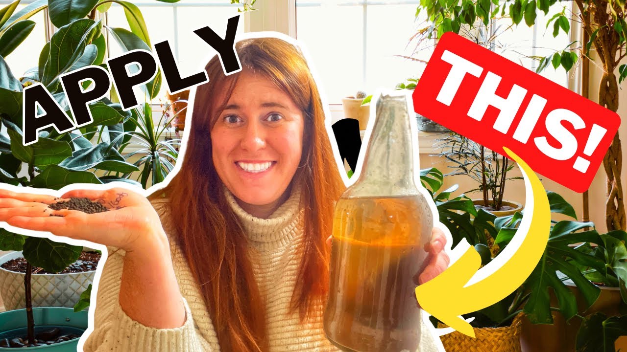 4 способа правильного применения микоризного инокулянта!