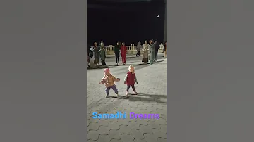 Чудная долина Мr Credo Samadhi Dreams 