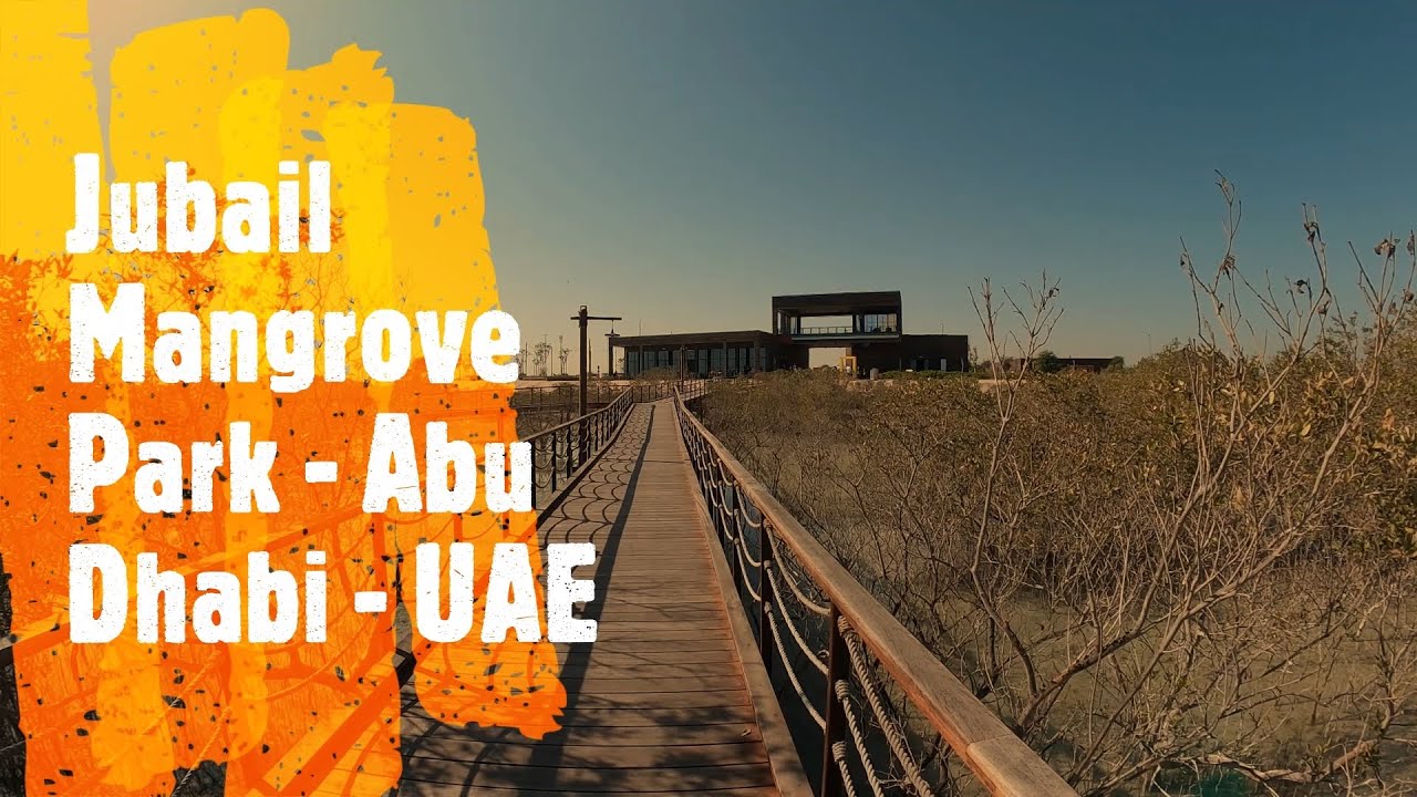 Jubail Mangrove Park - Abu Dhabi - UAE