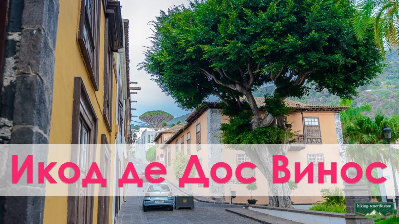 Icod de los Vinos. Пальмы, бугенвиллии, герань. Красивый городок с красивым видом на океан