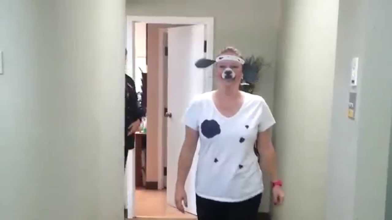 Herds of fun at The Parkway Dentist