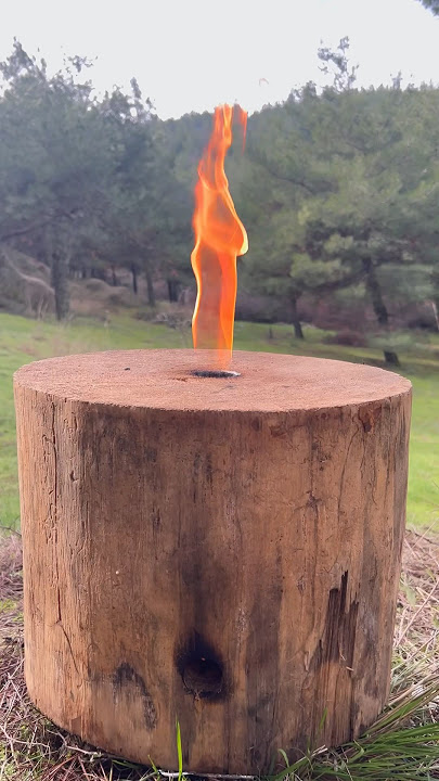 Steak on Portable Swedish Log Torch 🥩