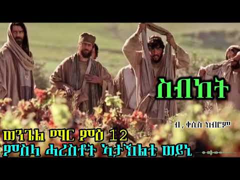 Bizen Tube|ምስላ ሓረስቶት ኣታክልቲ ወይኒ| The parable of the vineyard farmers| EOTC Tigrigna Sermon|2025