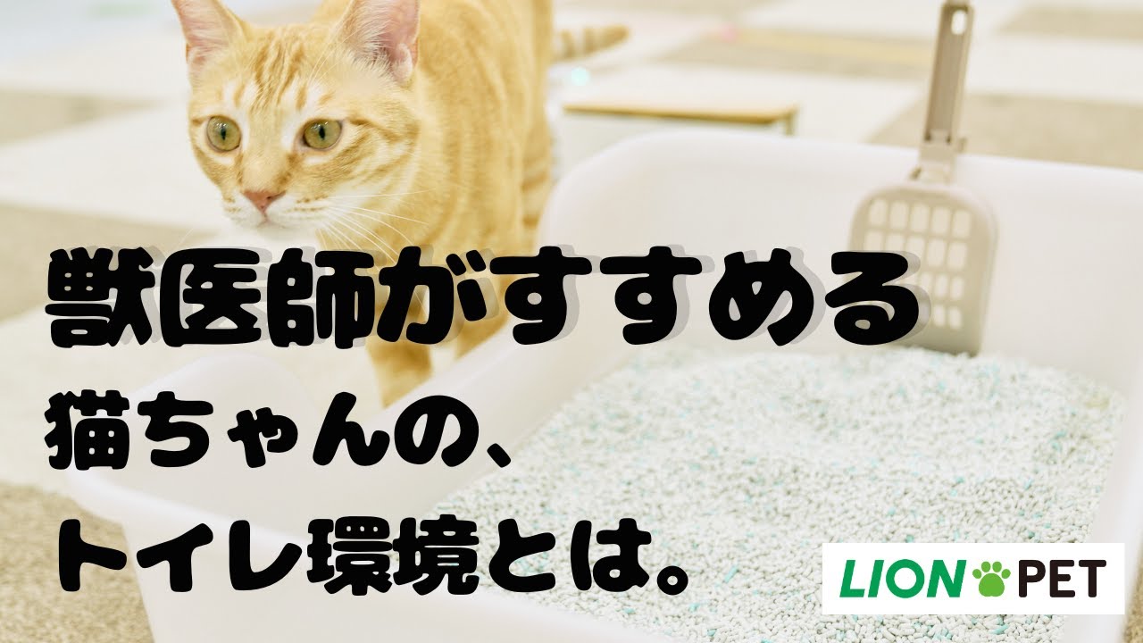 獣医師開発※ ニオイをとる砂専用 猫トイレ ※東京猫医療センター服部獣