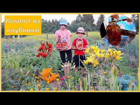 Как приготовили компот из клубники. Готовим в деревне