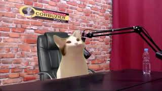 Dedy Corbuzier podcast kucing